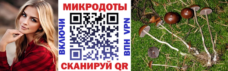 Галлюциногенные грибы MAGIC MUSHROOMS  Бабушкин 